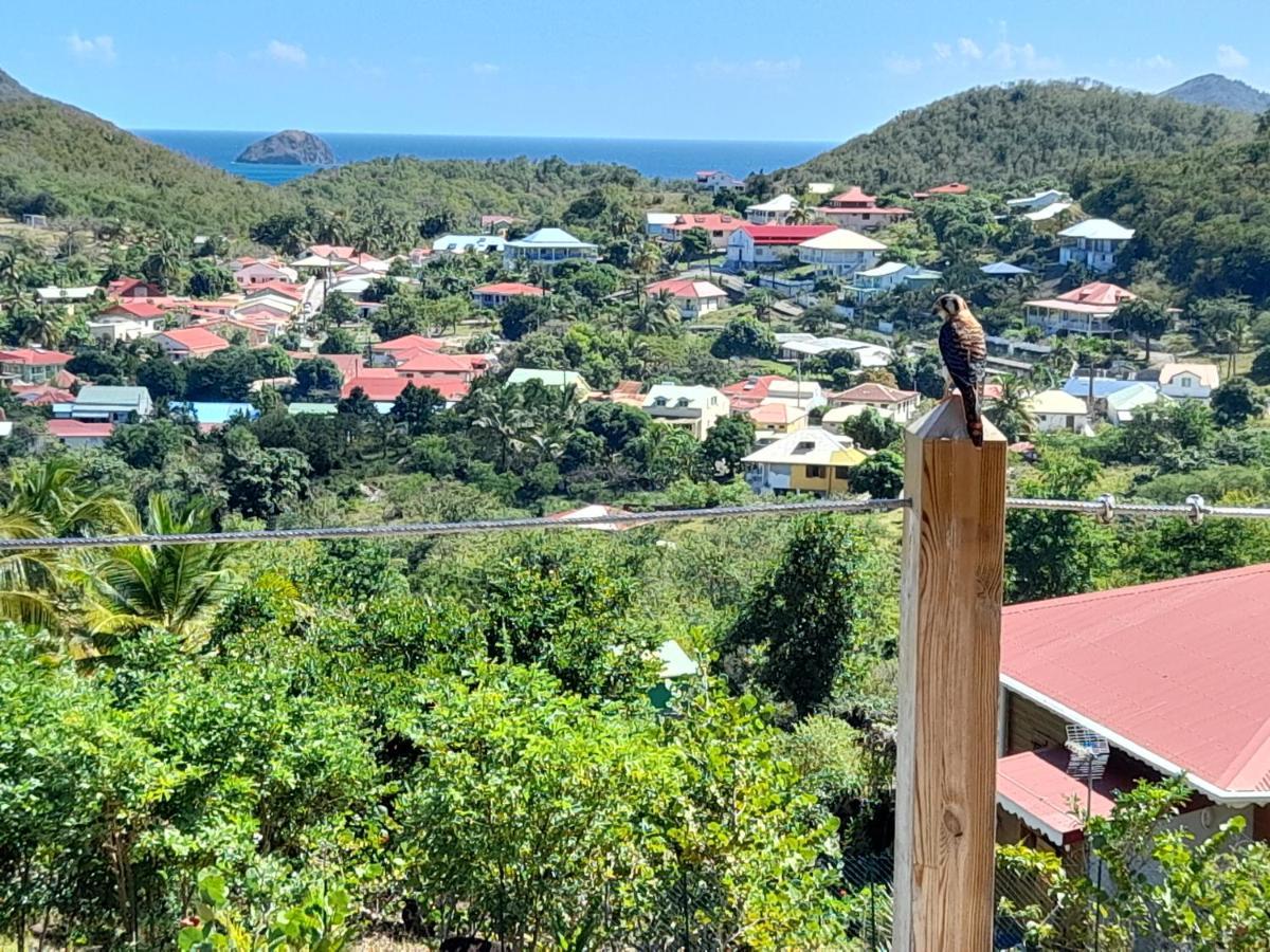 Ti Kaz Anoli Vue Epoustouflante Sur La Baie Villa Terre-de-Bas Eksteriør billede